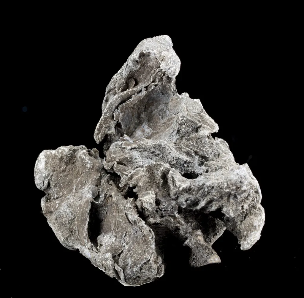 Lead image