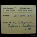 Leadhillite on Galena With Dolomite - image 3