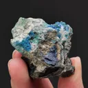 Leadhillite with Caledonite Linarite, Cerussite and Brochantite - image 2