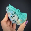 Leadhillite with Paratacamite, Cerussite, and Diaboleite - image 1