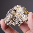 Leadhillite with Pyromorphite - image 2