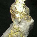 Leaf Gold - image 2