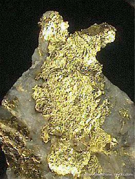 Leaf Gold image