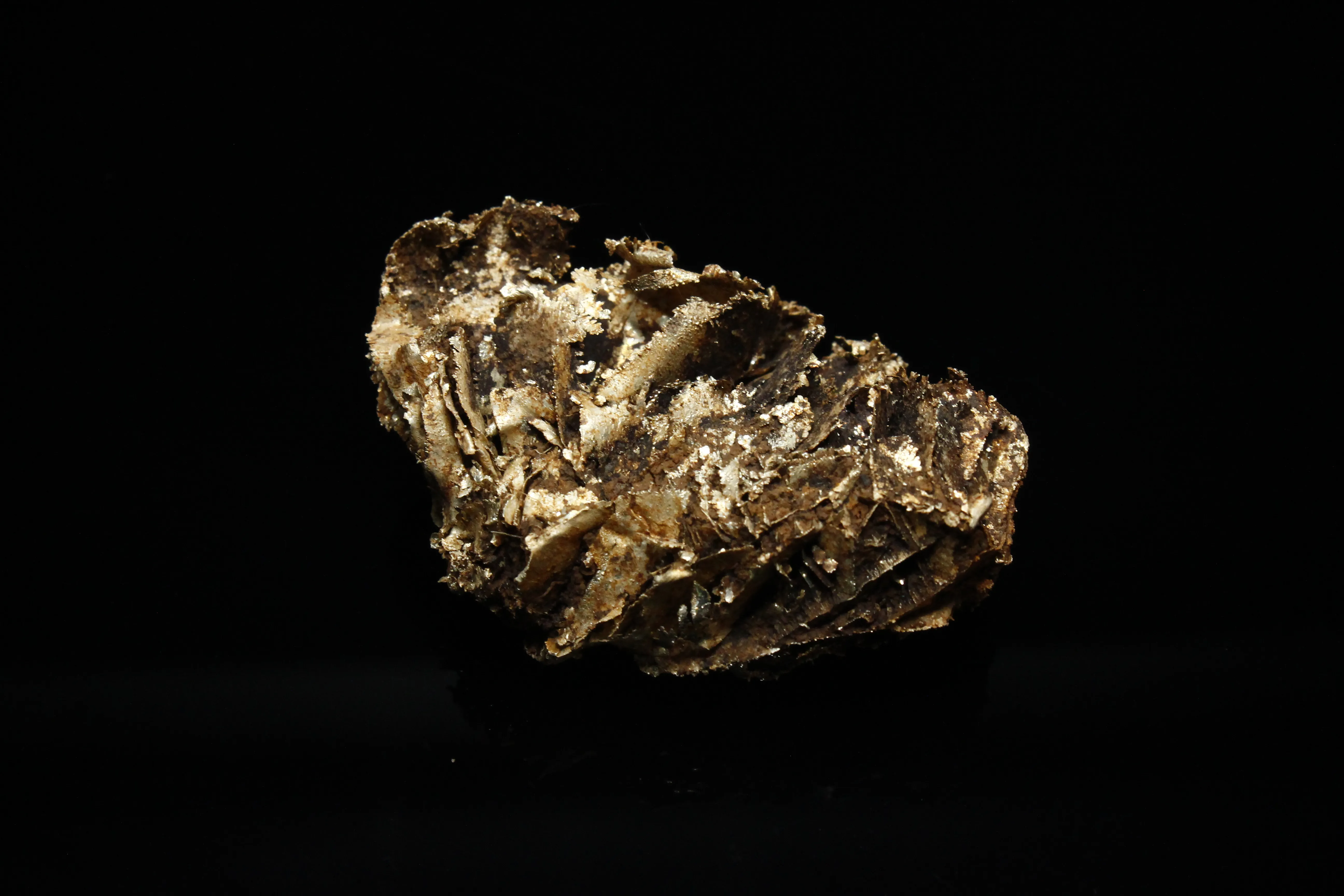 Leaf Gold, Nevada - image 3