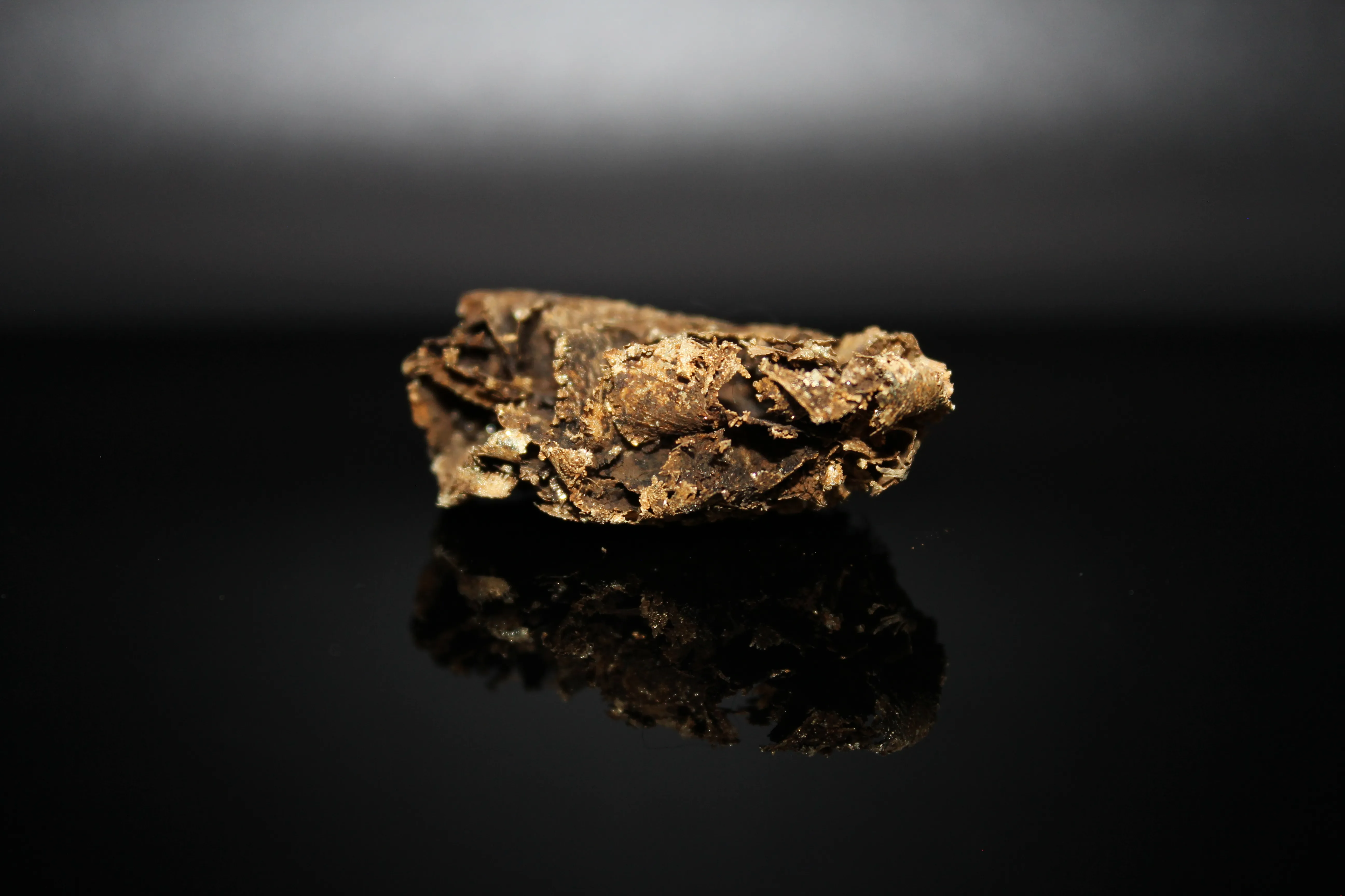 Leaf Gold, Nevada - image 4