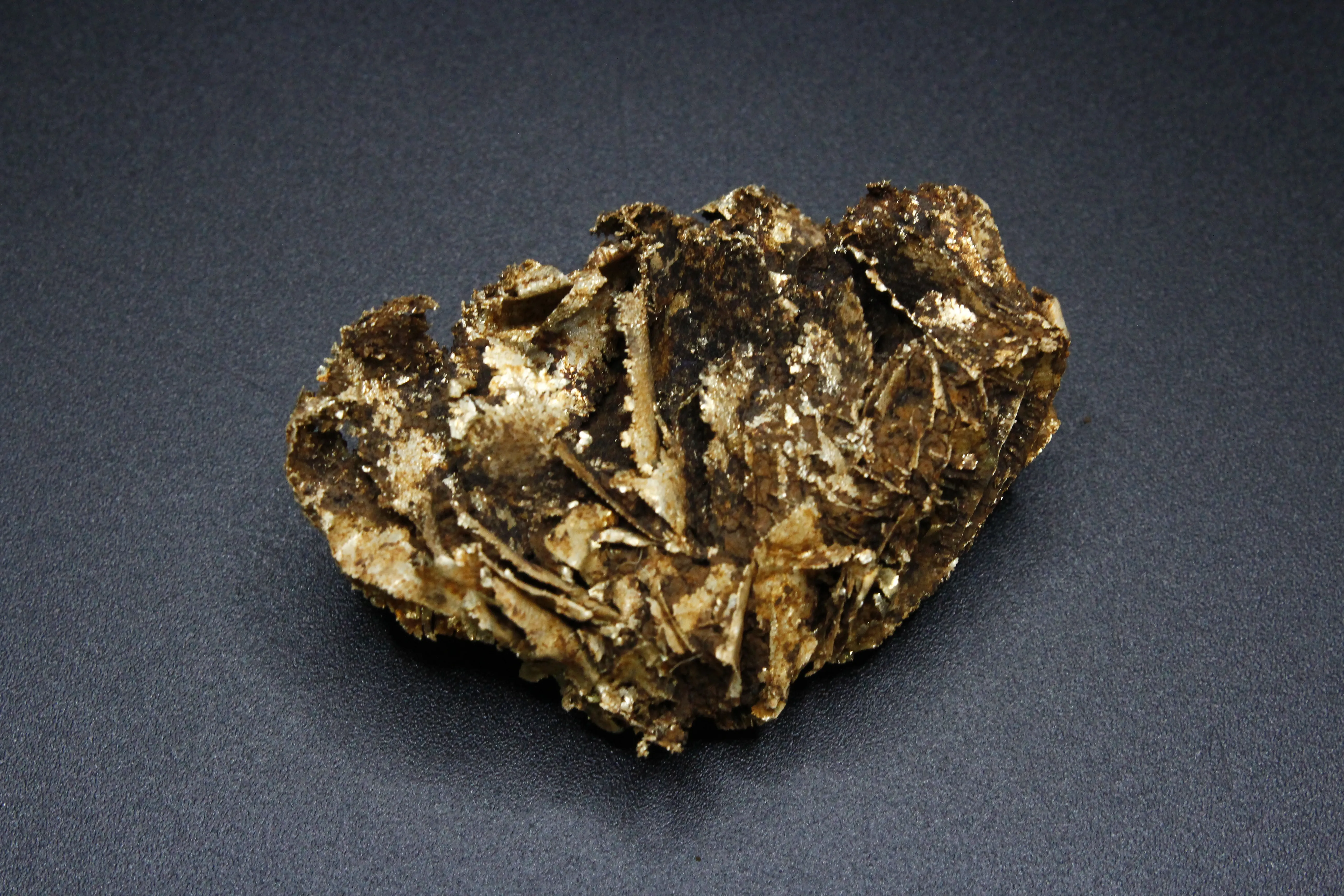 Leaf Gold, Nevada - image 1