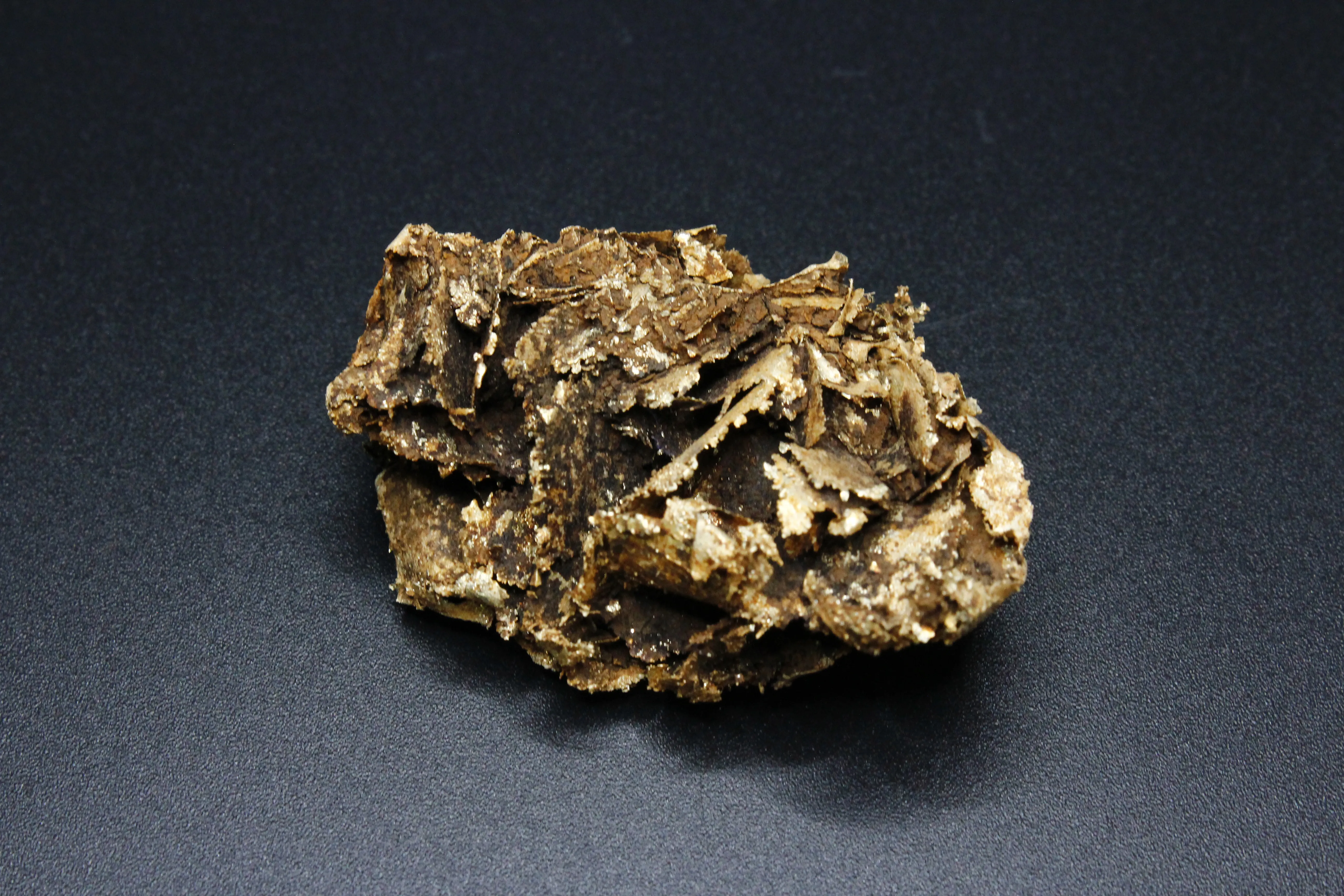 Leaf Gold, Nevada - image 2