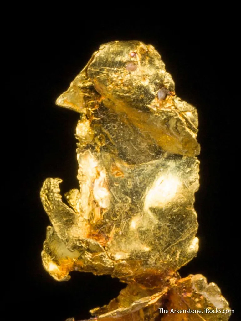 Leaf Gold on Gold - image 6