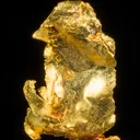 Leaf Gold on Gold - image 6