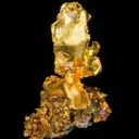 Leaf Gold on Gold - image 5