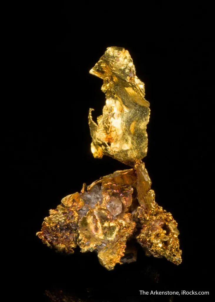Leaf Gold on Gold - image 3
