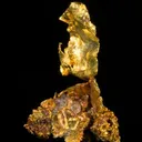 Leaf Gold on Gold - image 3