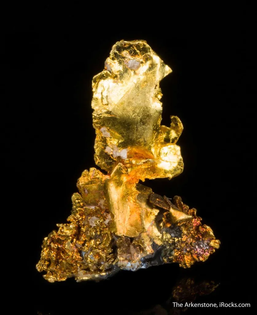 Leaf Gold on Gold - image 4