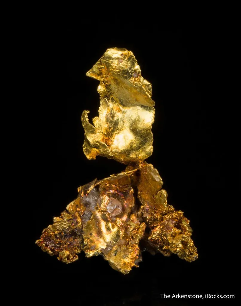 Leaf Gold on Gold - image 2