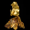 Leaf Gold on Gold - image 2