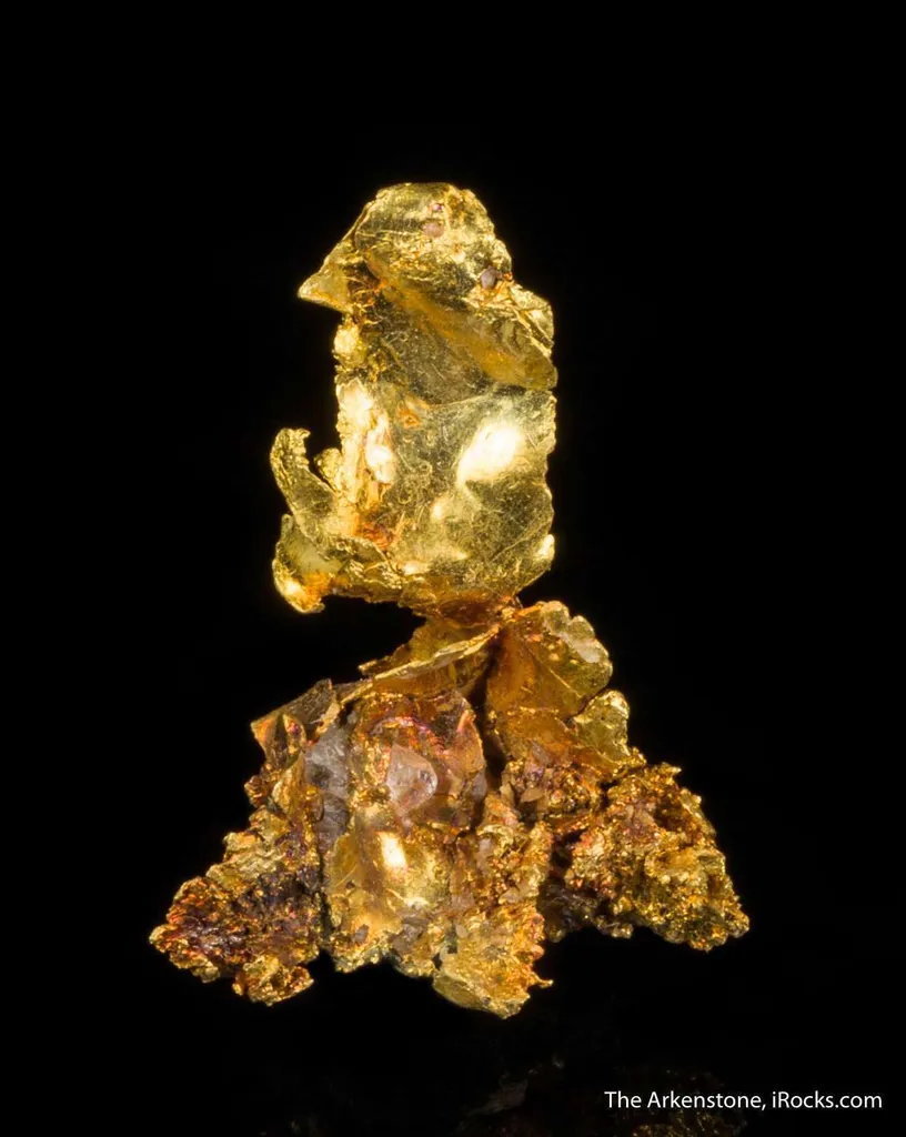 Leaf Gold on Gold image