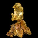 Leaf Gold on Gold - image 1