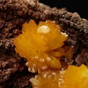 Legrandite - image 3