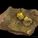 Legrandite - image 2
