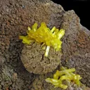 Legrandite - image 1