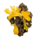 Legrandite - image 3
