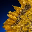 Legrandite - image 2