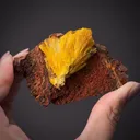 Legrandite (Aztec Sun pocket) - image 2