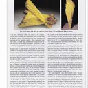 Legrandite - image 5