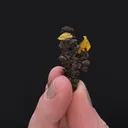 Legrandite - image 2