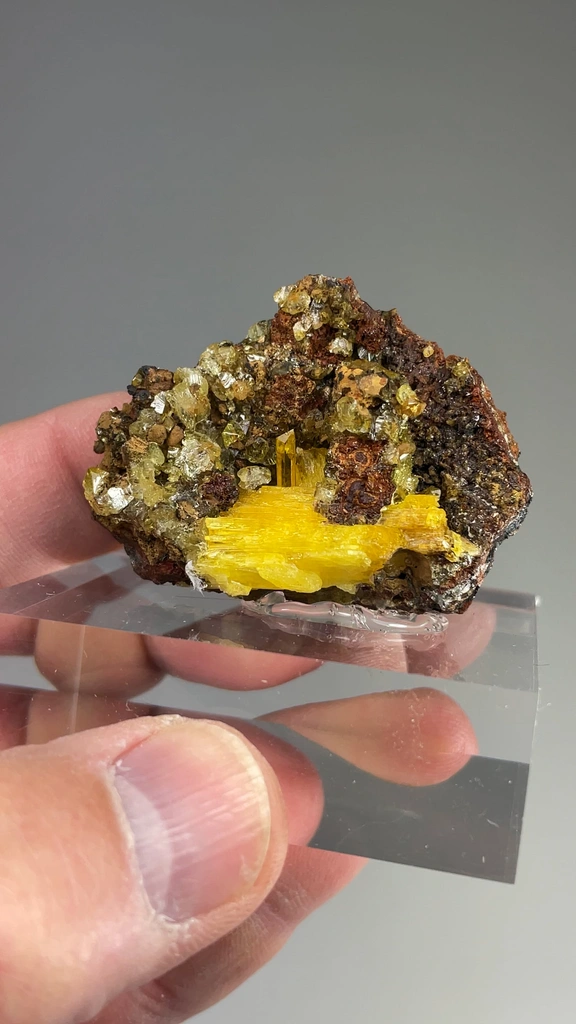 Legrandite from Ojuela Mine, Mapimí, Durango, Mexico - image 2