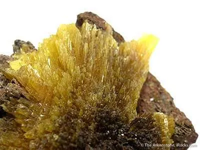 Legrandite on Limonite - image 2