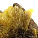 Legrandite on Limonite - image 2