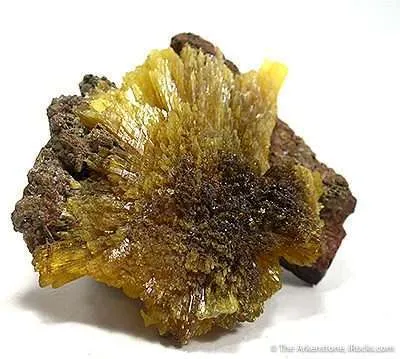Legrandite on Limonite image