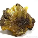 Legrandite on Limonite - image 1