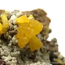 Legrandite on Smithsonite - image 2