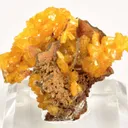 Legrandite (Rare Type Locality Specimen) - image 1