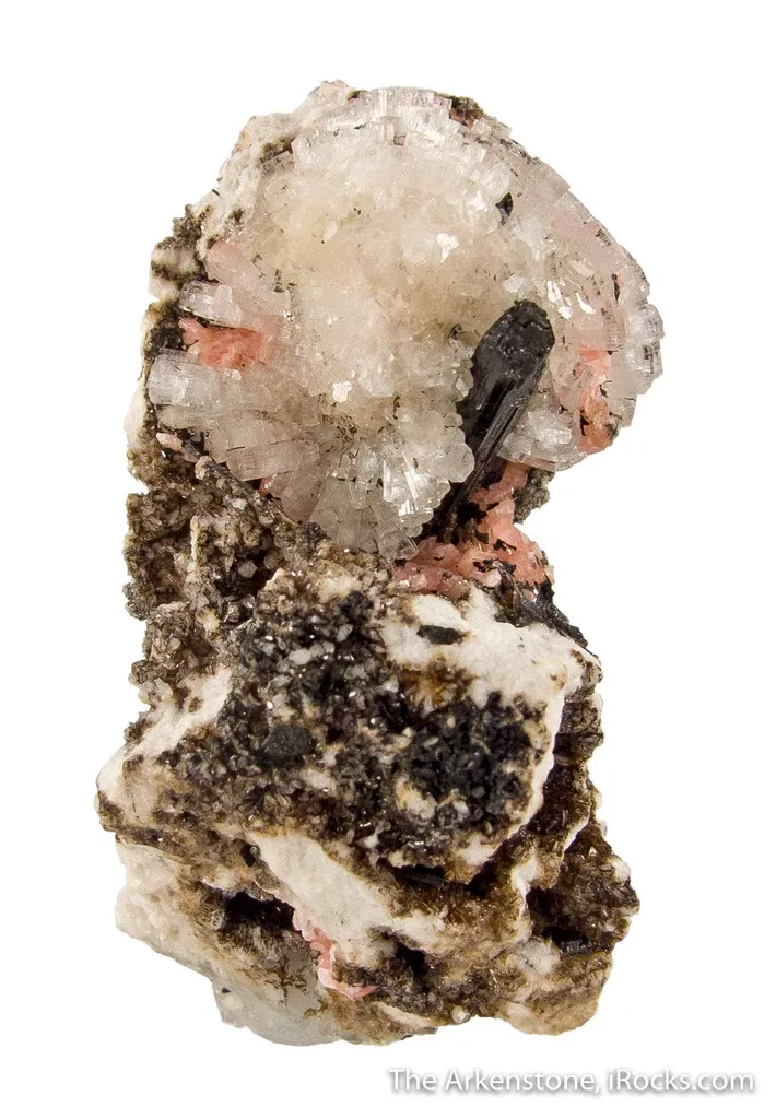 Leifeite with Aegirine and Serandite - image 3