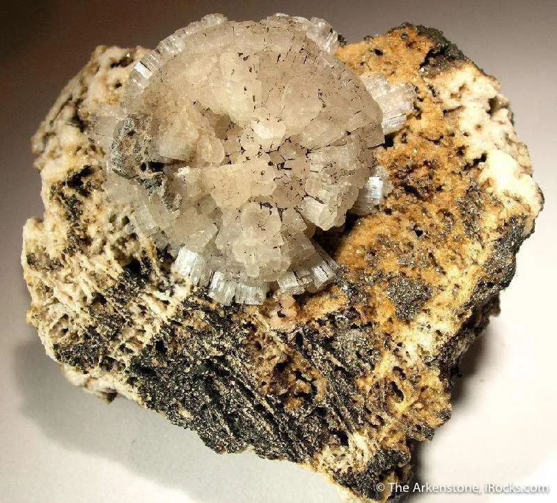 Leifite image