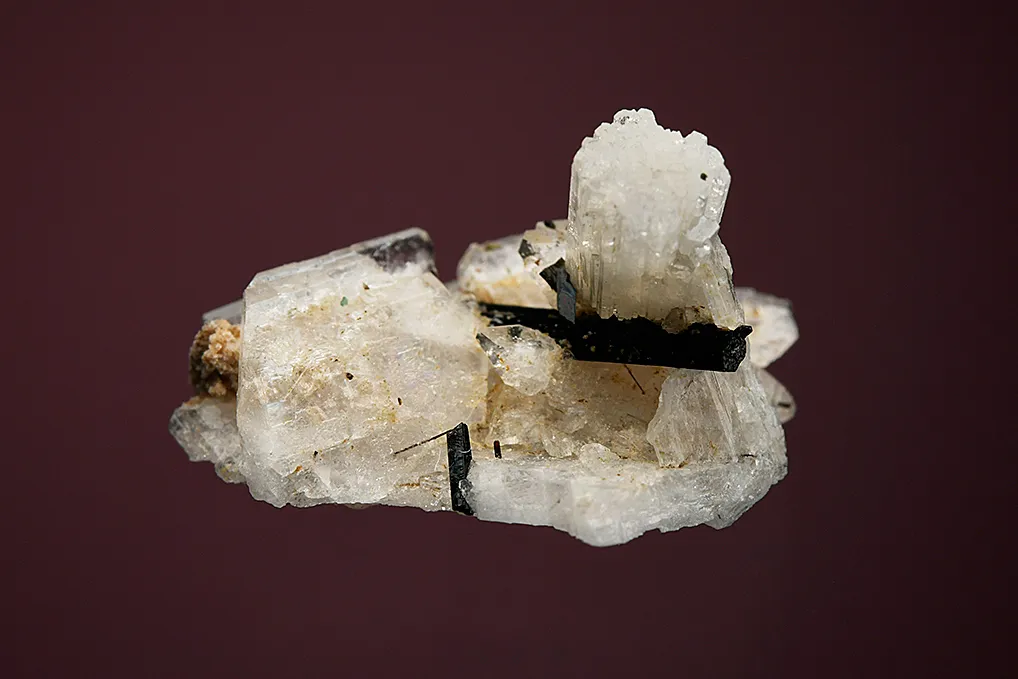 Leifite and Aegirine on Albite - image 4