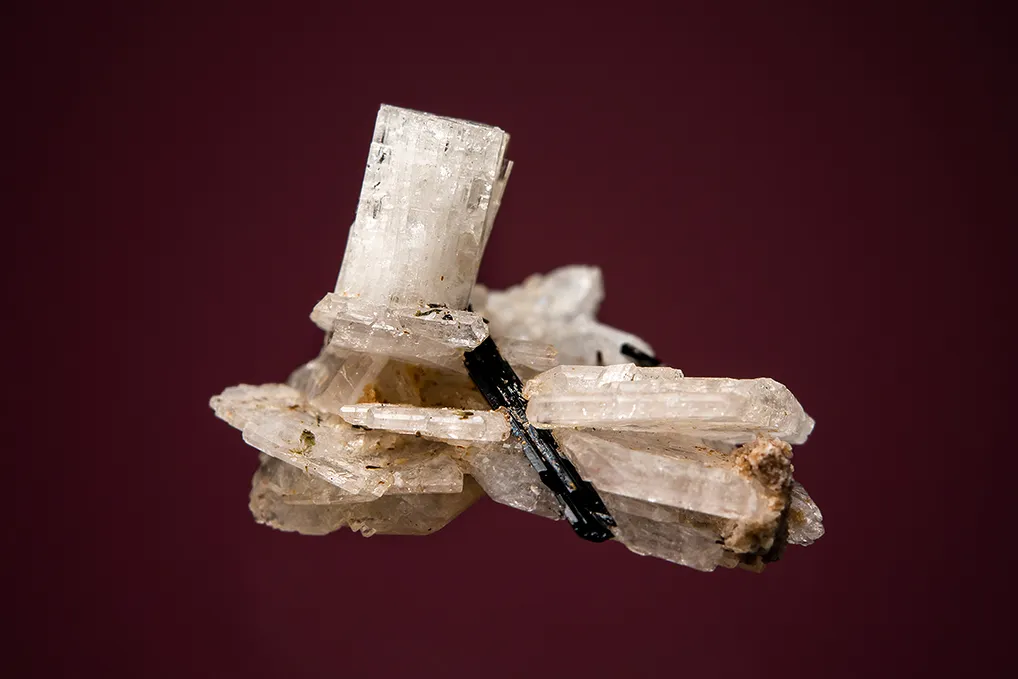 Leifite and Aegirine on Albite image