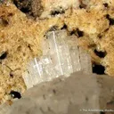 Leifite - image 3