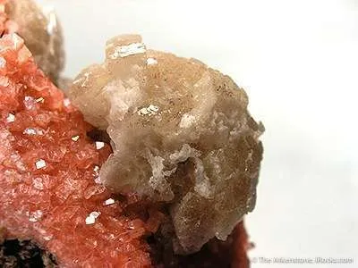 Leifite, Serandite, Mangan-Neptunite - image 2