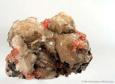 Leifite, Serandite, Mangan-Neptunite image