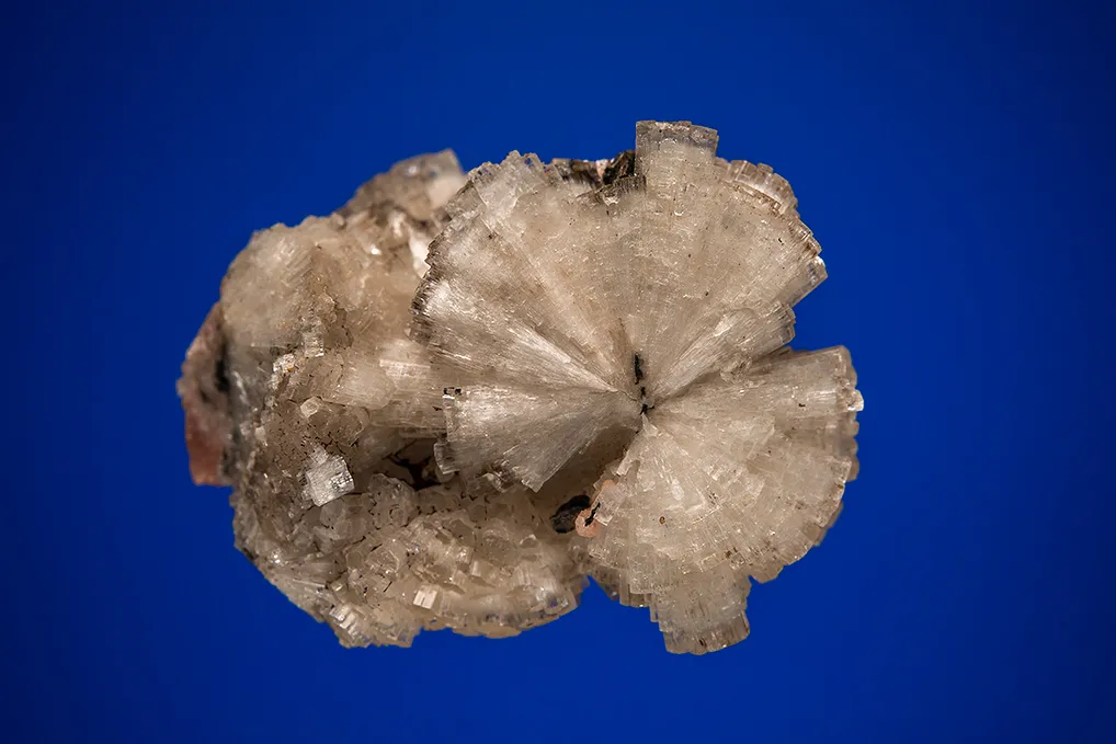 Leifite with SÉRANDITE - image 2