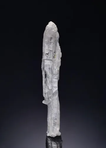 Leiteite