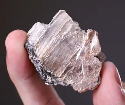 Leiteite