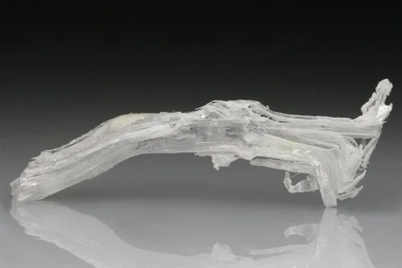 Leiteite image