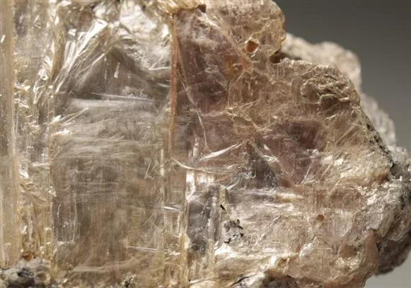 Leiteite image
