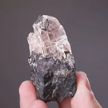 Leiteite