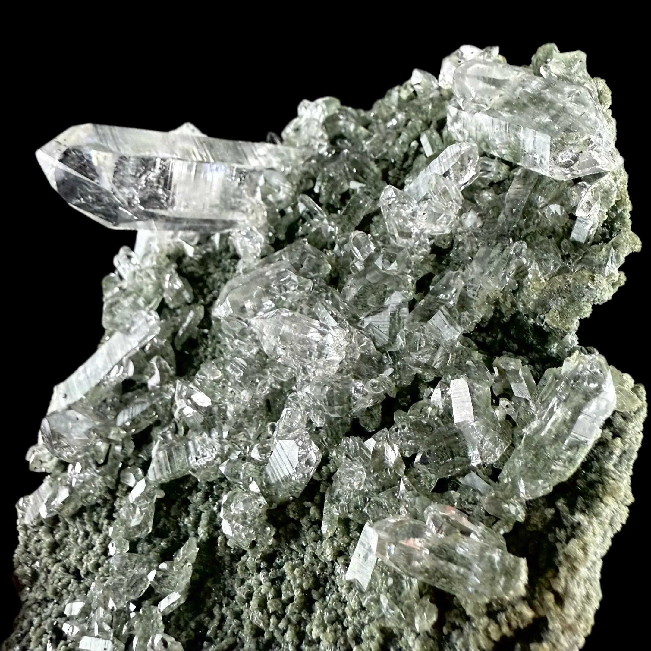 Lemurian Quartz on Sparkly Chlorite | High Quality Mineral | Indian Mineral | Superb Minerals | Collectors Piece | Fine Mineral - image 3